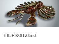 THE RIKOH 2.8inch