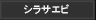 シラサエビ