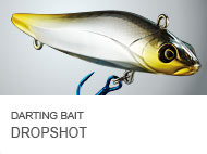 DARTING BAIT DROPSHOT