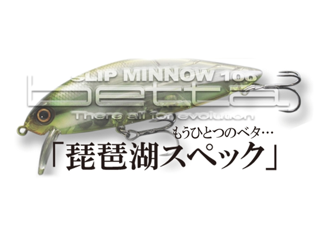 もう一つのべた琵琶湖スペック