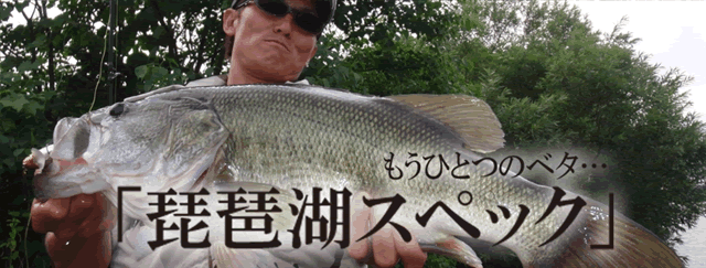 BETTA BIWAKO