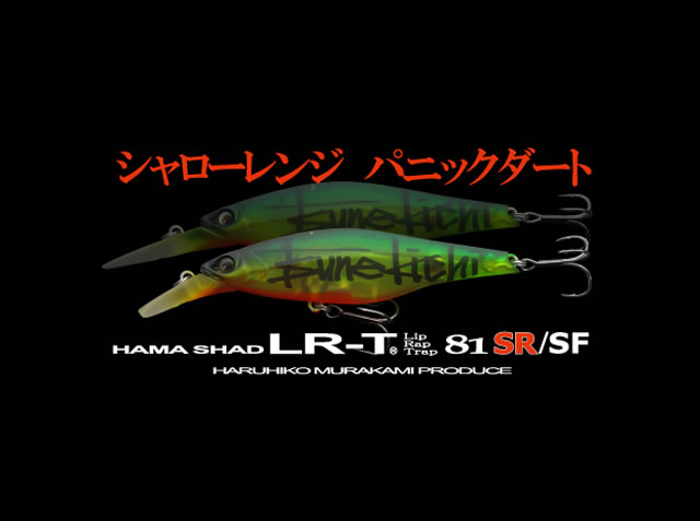 ハマシャーッド